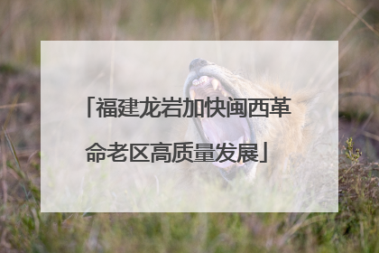 福建龙岩加快闽西革命老区高质量发展