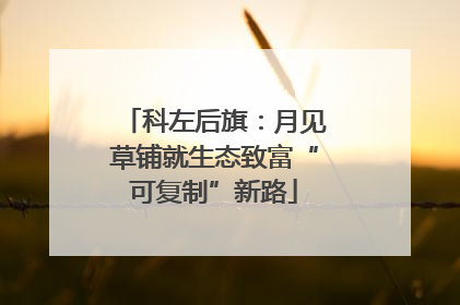 科左后旗：月见草铺就生态致富“可复制”新路