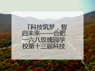 科技筑梦，智启未来——合肥一六八玫瑰园学校第十三届科技节机器人系列体验赛燃动校园