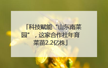 科技赋能“山东南菜园”，这家合作社年育菜苗2.2亿株