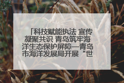 科技赋能执法 宣传凝聚共识 青岛筑牢海洋生态保护屏障—青岛市海洋发展局开展“世界海洋日”和“全国海洋宣传日”宣传活动