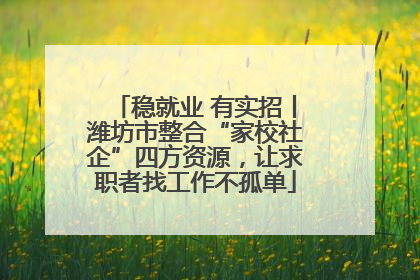 稳就业 有实招丨潍坊市整合“家校社企”四方资源，让求职者找工作不孤单