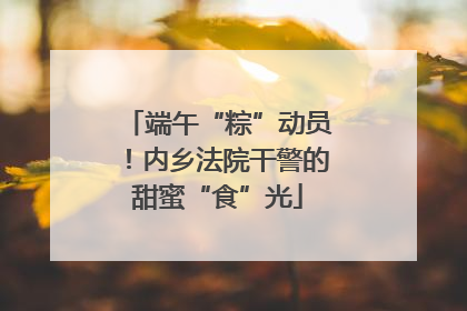 端午“粽”动员！内乡法院干警的甜蜜“食”光