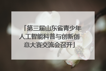 第三届山东省青少年人工智能科普与创新创意大赛交流会召开