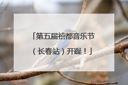 第五届禧都音乐节（长春站）开躁！
