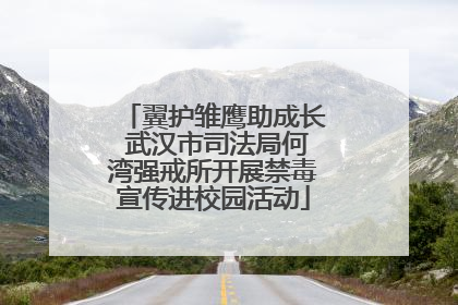 翼护雏鹰助成长 武汉市司法局何湾强戒所开展禁毒宣传进校园活动