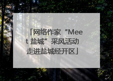 网络作家“Meet 盐城”采风活动走进盐城经开区