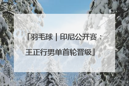 羽毛球｜印尼公开赛：王正行男单首轮晋级