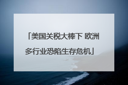 美国关税大棒下 欧洲多行业恐陷生存危机