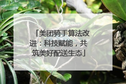 美团骑手算法改进：科技赋能，共筑美好配送生态