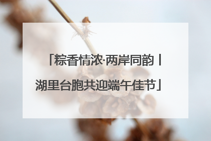 粽香情浓·两岸同韵丨湖里台胞共迎端午佳节