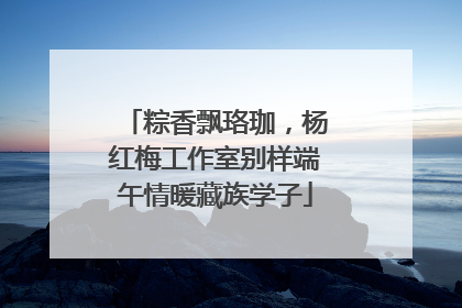粽香飘珞珈，杨红梅工作室别样端午情暖藏族学子