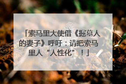 索马里大使借《掘墓人的妻子》呼吁：请把索马里人“人性化”！