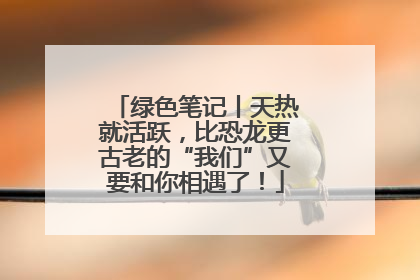 绿色笔记丨天热就活跃，比恐龙更古老的“我们”又要和你相遇了！