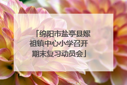 绵阳市盐亭县嫘祖镇中心小学召开期末复习动员会