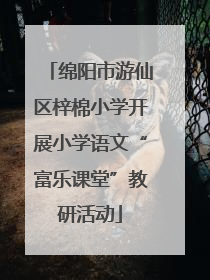 绵阳市游仙区梓棉小学开展小学语文“富乐课堂”教研活动