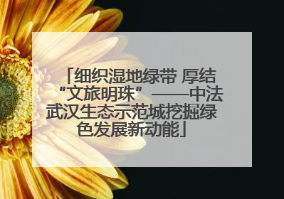 细织湿地绿带 厚结“文旅明珠”——中法武汉生态示范城挖掘绿色发展新动能