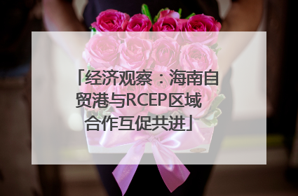经济观察：海南自贸港与RCEP区域合作互促共进