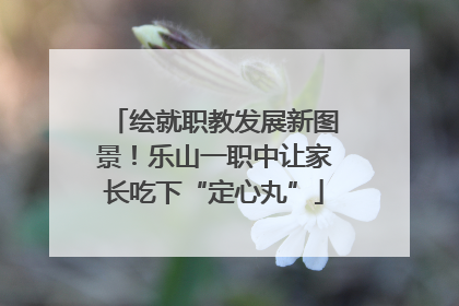 绘就职教发展新图景！乐山一职中让家长吃下“定心丸”
