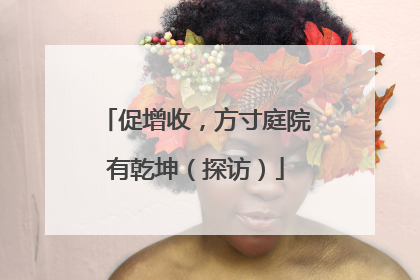 促增收，方寸庭院有乾坤（探访）