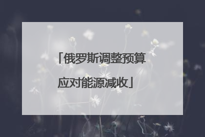 俄罗斯调整预算应对能源减收