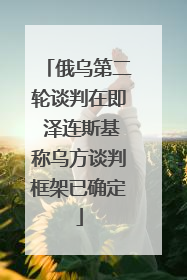 俄乌第二轮谈判在即 泽连斯基称乌方谈判框架已确定