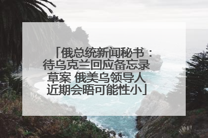 俄总统新闻秘书：待乌克兰回应备忘录草案 俄美乌领导人近期会晤可能性小