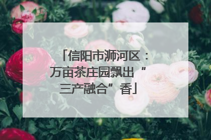 信阳市浉河区：万亩茶庄园飘出“三产融合”香