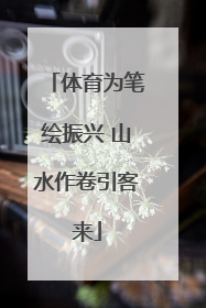 体育为笔绘振兴 山水作卷引客来