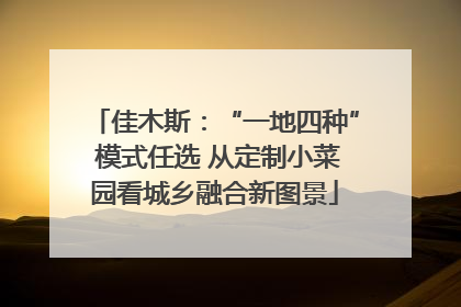 佳木斯：“一地四种” 模式任选 从定制小菜园看城乡融合新图景