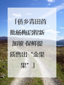 侨乡青田首批杨梅启程新加坡 保鲜提质售出“金果果”