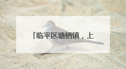 临平区塘栖镇，上榜省级中心镇！