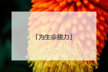为生命接力