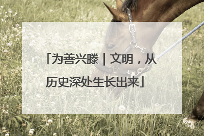 为善兴滕｜文明，从历史深处生长出来