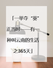 一举夺“葵”正当时——有一种叫云南的生活之365天