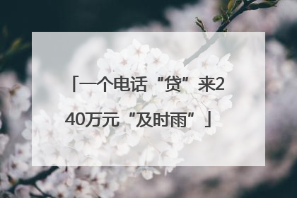 一个电话“贷”来240万元“及时雨”