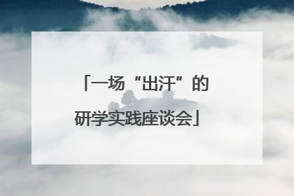 一场“出汗”的研学实践座谈会