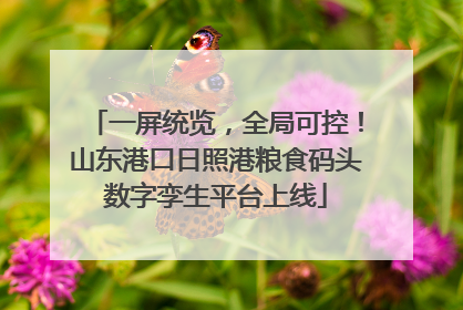 一屏统览，全局可控！山东港口日照港粮食码头数字孪生平台上线