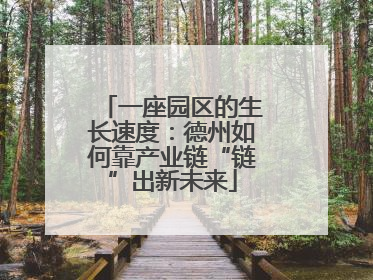 一座园区的生长速度：德州如何靠产业链“链”出新未来