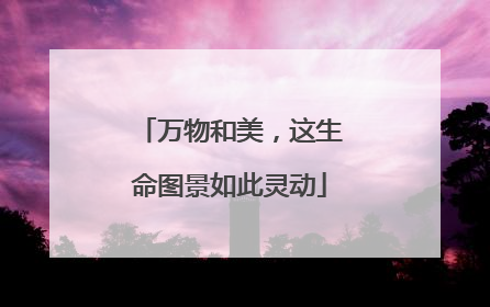 万物和美，这生命图景如此灵动
