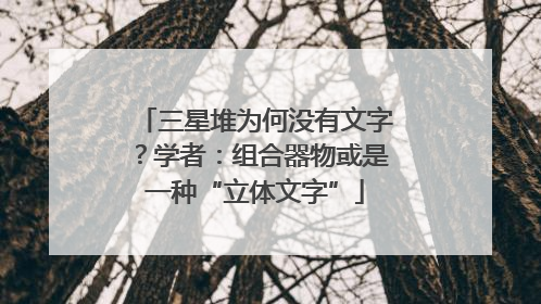 三星堆为何没有文字？学者：组合器物或是一种“立体文字”
