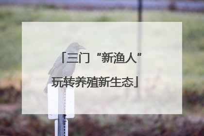 三门“新渔人”玩转养殖新生态