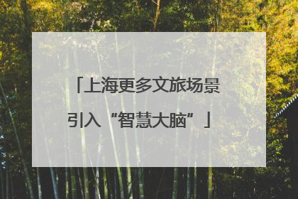 上海更多文旅场景引入“智慧大脑”