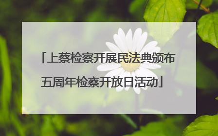 上蔡检察开展民法典颁布五周年检察开放日活动