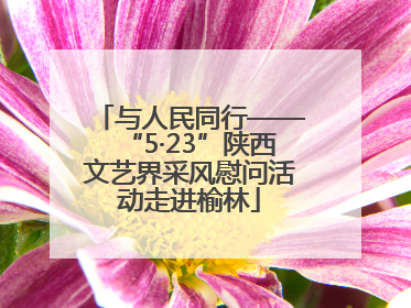 与人民同行——“5·23”陕西文艺界采风慰问活动走进榆林