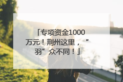 专项资金1000万元！荆州这里，“羽”众不同！
