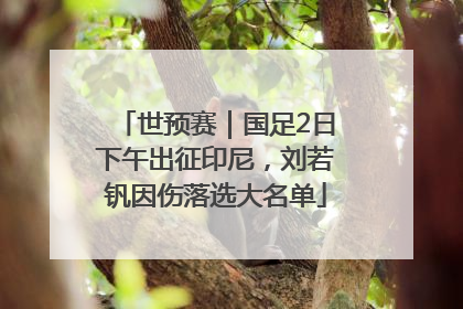世预赛｜国足2日下午出征印尼，刘若钒因伤落选大名单