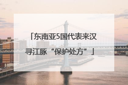 东南亚5国代表来汉寻江豚“保护处方”