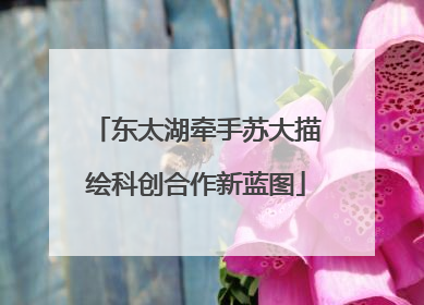 东太湖牵手苏大描绘科创合作新蓝图
