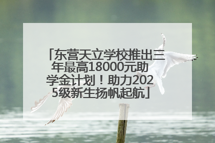 东营天立学校推出三年最高18000元助学金计划！助力2025级新生扬帆起航